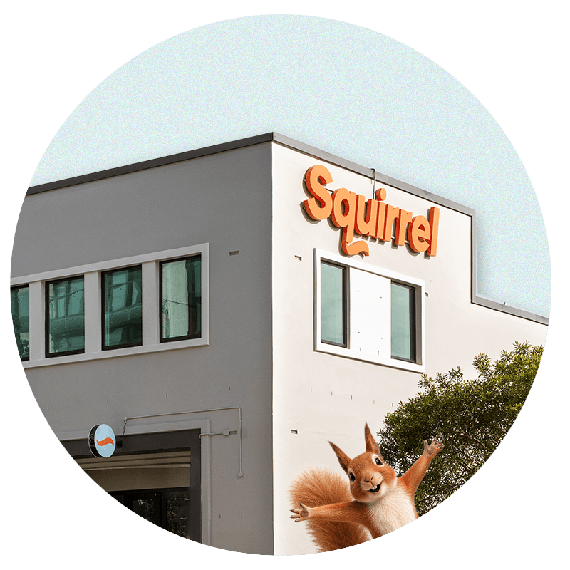 Squirrel HQ, Sale Street, Auckland with Bernie the Squirrel popping up beside the building